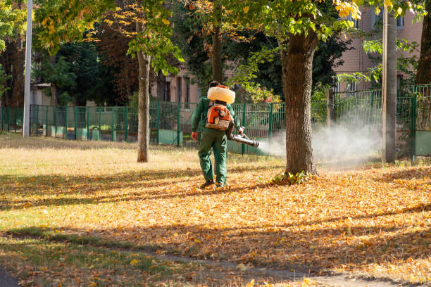 Best Wasp Removal Services  in Toppenish, WA
